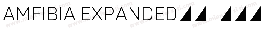 AMFIBIA EXPANDED字体字体转换